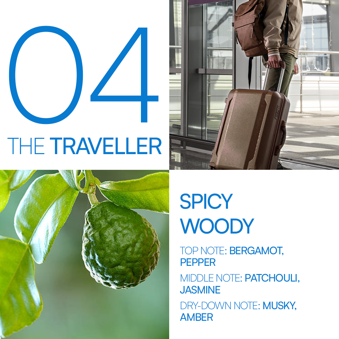 The Traveler