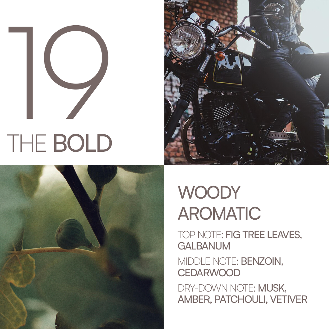 The Bold